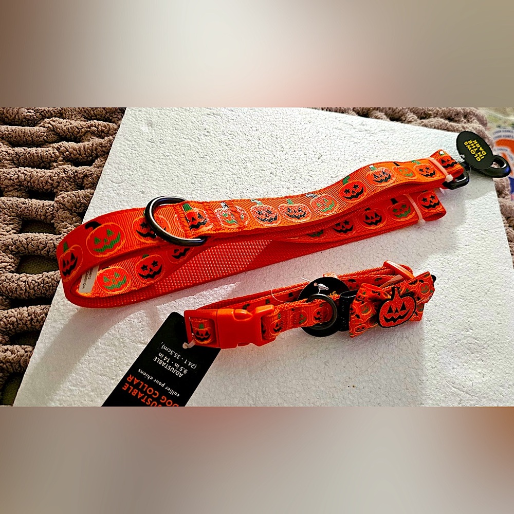 Thrills & Chills Orange Pumpkins Glow In The Dark Collar & Leash Set (S)